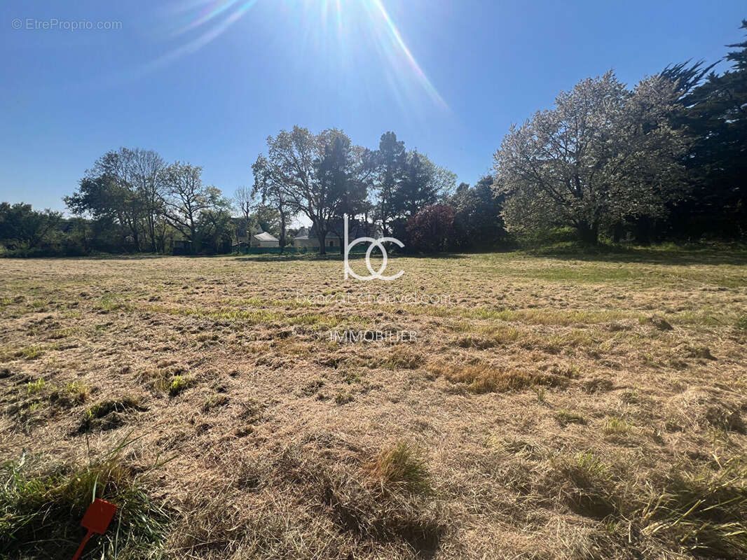 Terrain à SARZEAU