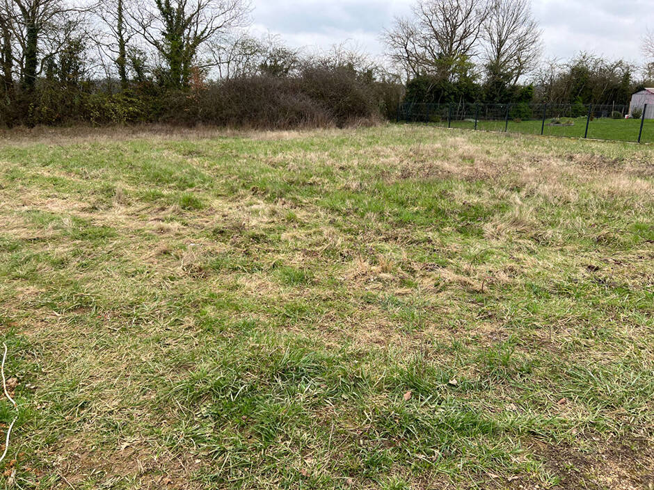 Terrain à SAVIGNE