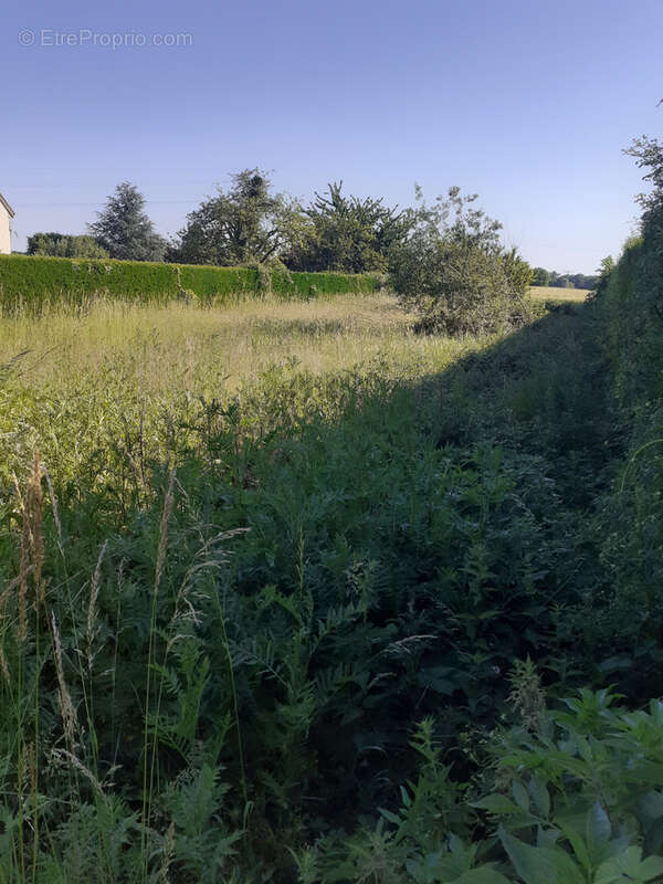 Terrain à LA VILLENEUVE-EN-CHEVRIE