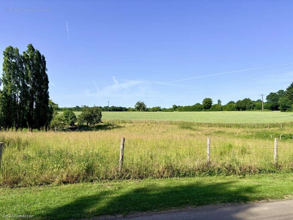 Maison contemporaine de 105 m² avec grand jardin arboré et piscine chauffée - photo 37