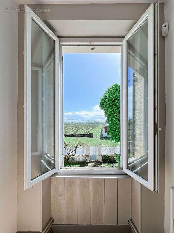 Maison à PUJOLS-SUR-CIRON