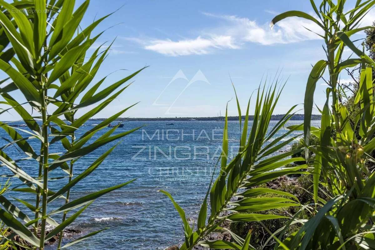 Appartement à VALLAURIS