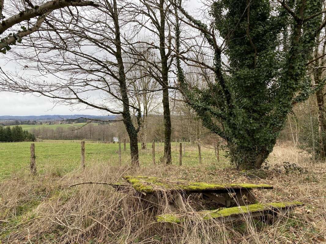 Maison à NEUVIC-ENTIER