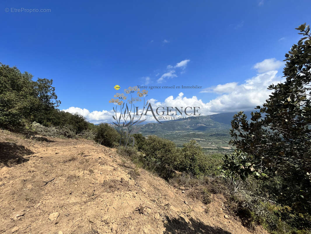 Terrain à MONTICELLO