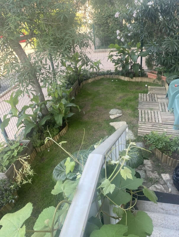 Appartement à SAN-MARTINO-DI-LOTA