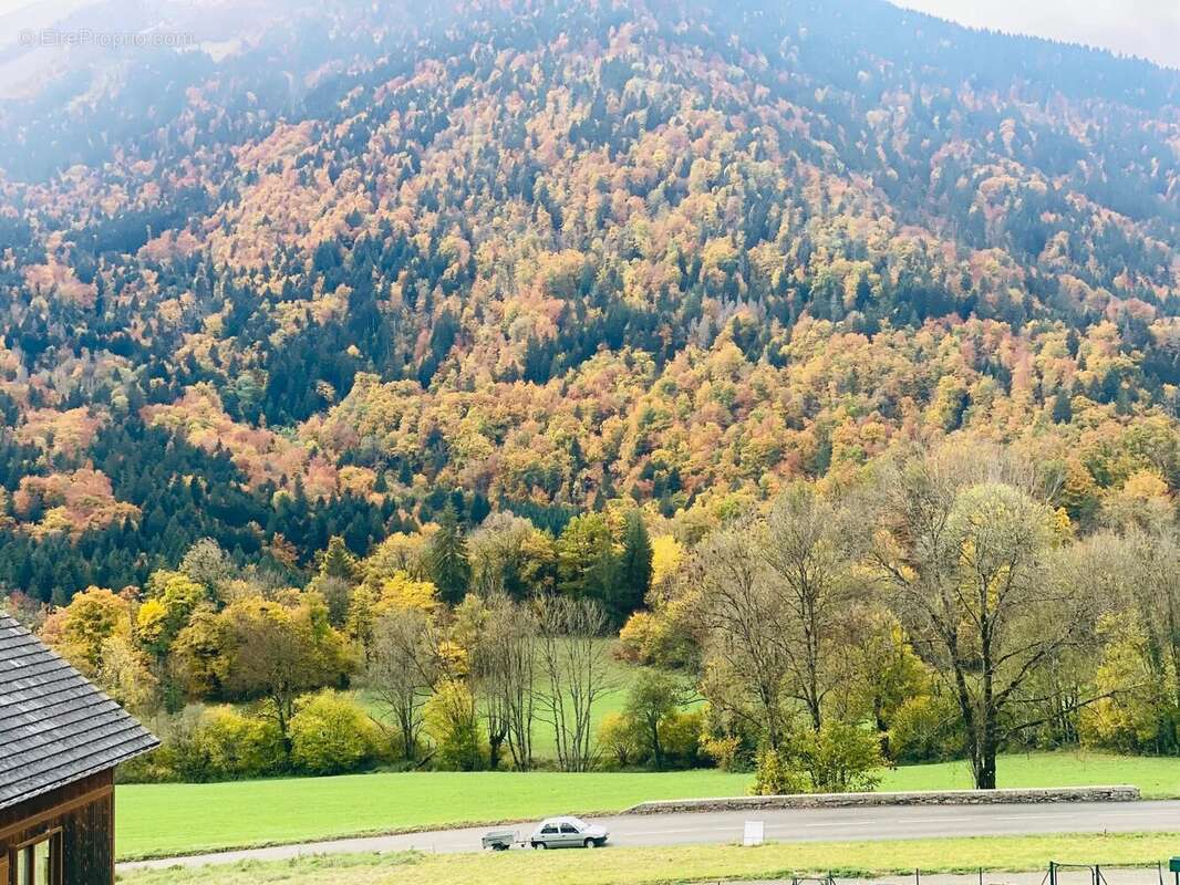 Terrain à LE CHATELARD
