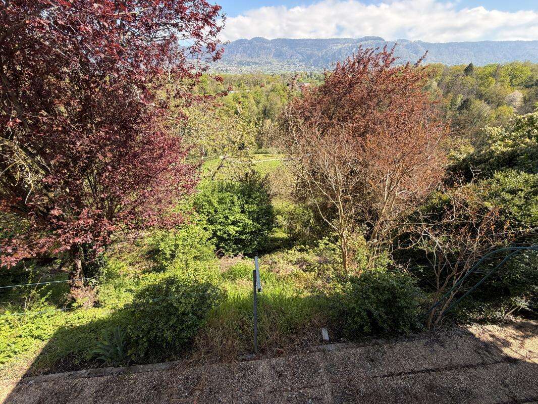 Maison individuelle - photo 8