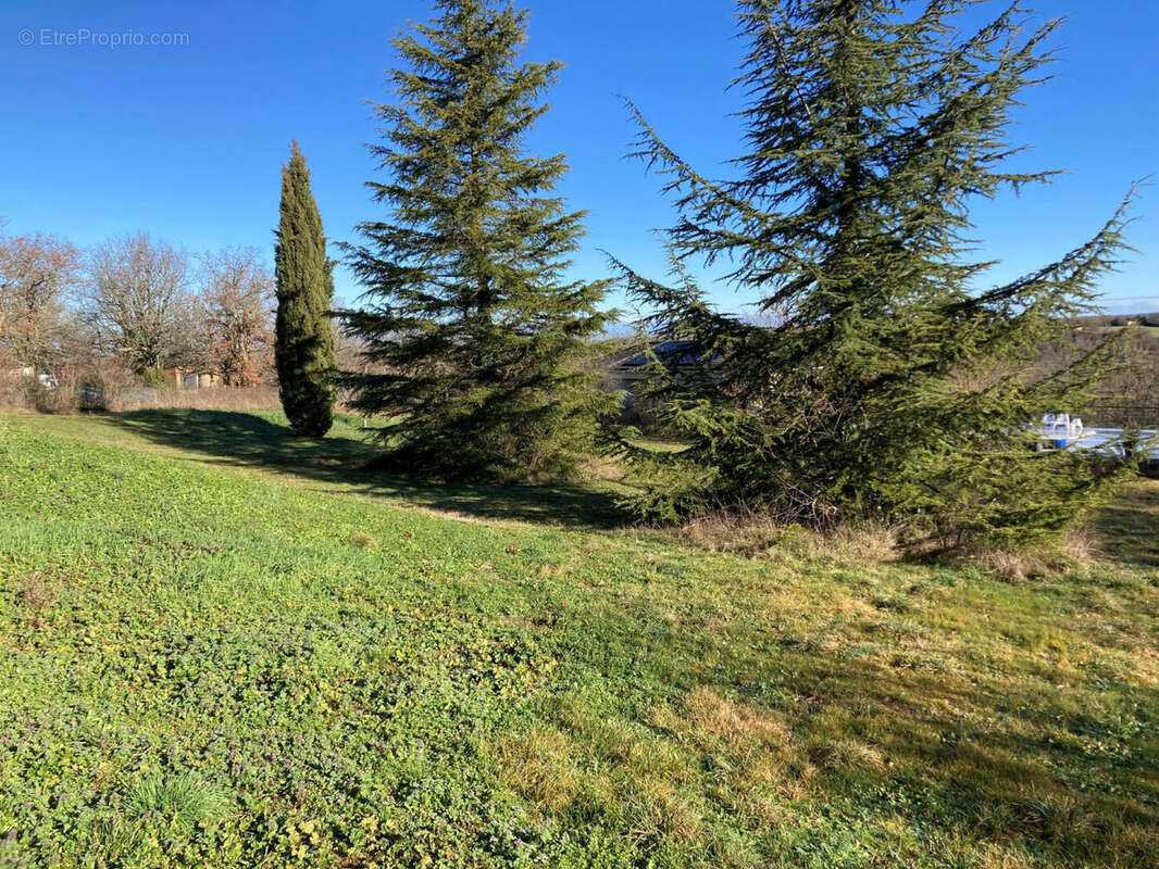 terrain - Maison à LALBENQUE