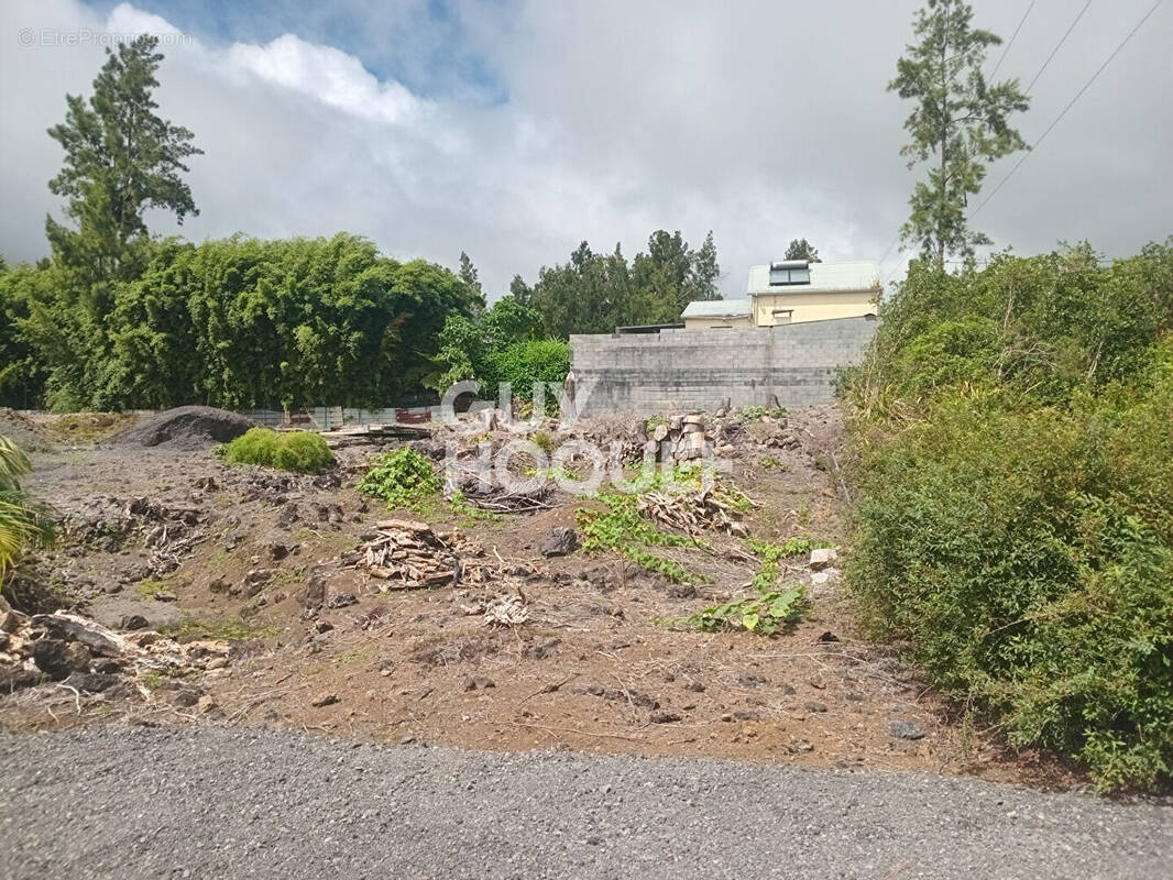 Terrain à LA PLAINE-DES-PALMISTES