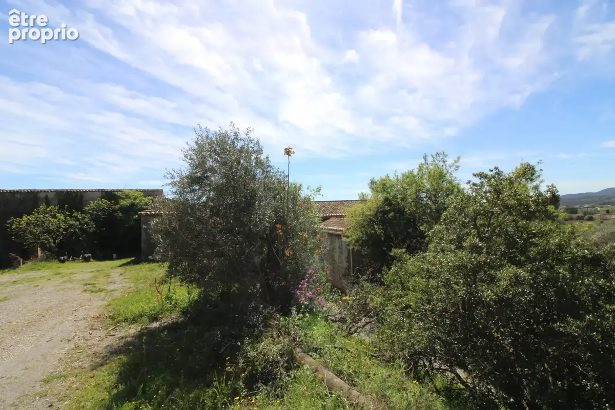 Mas de 2500 m2 sur 26 hectares. - photo 57