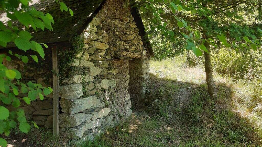 Grange avec Vue Imprenable sur les Pyrénées - photo 6