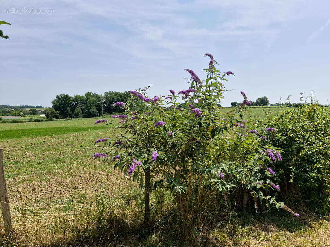 Maison à SAINTE-RADEGONDE