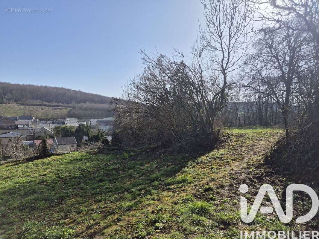 Photo 8 - Terrain à RAUCOURT-ET-FLABA