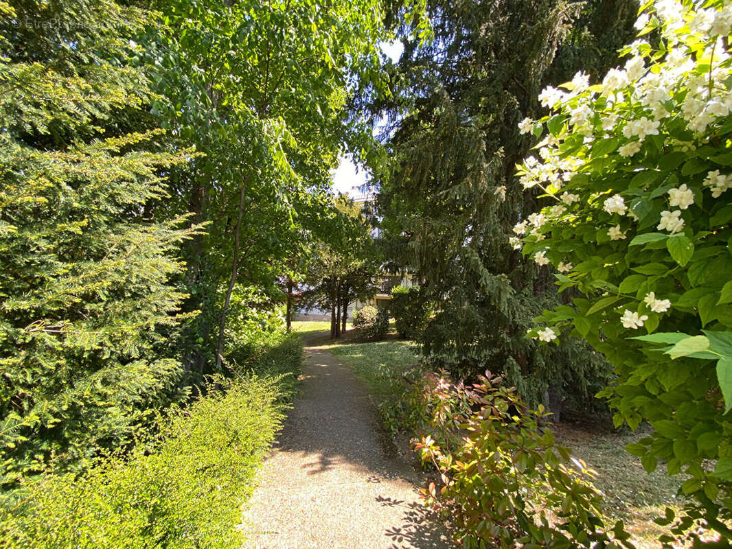 Appartement à MAISONS-LAFFITTE