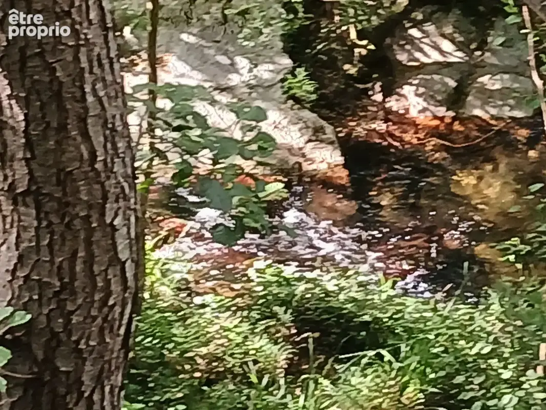 Mas en pierre à Reynes - photo 36