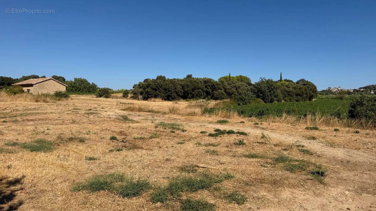 Terrain avec Mazet à vendre  LE POUGET (34), GIGNAC - photo 8
