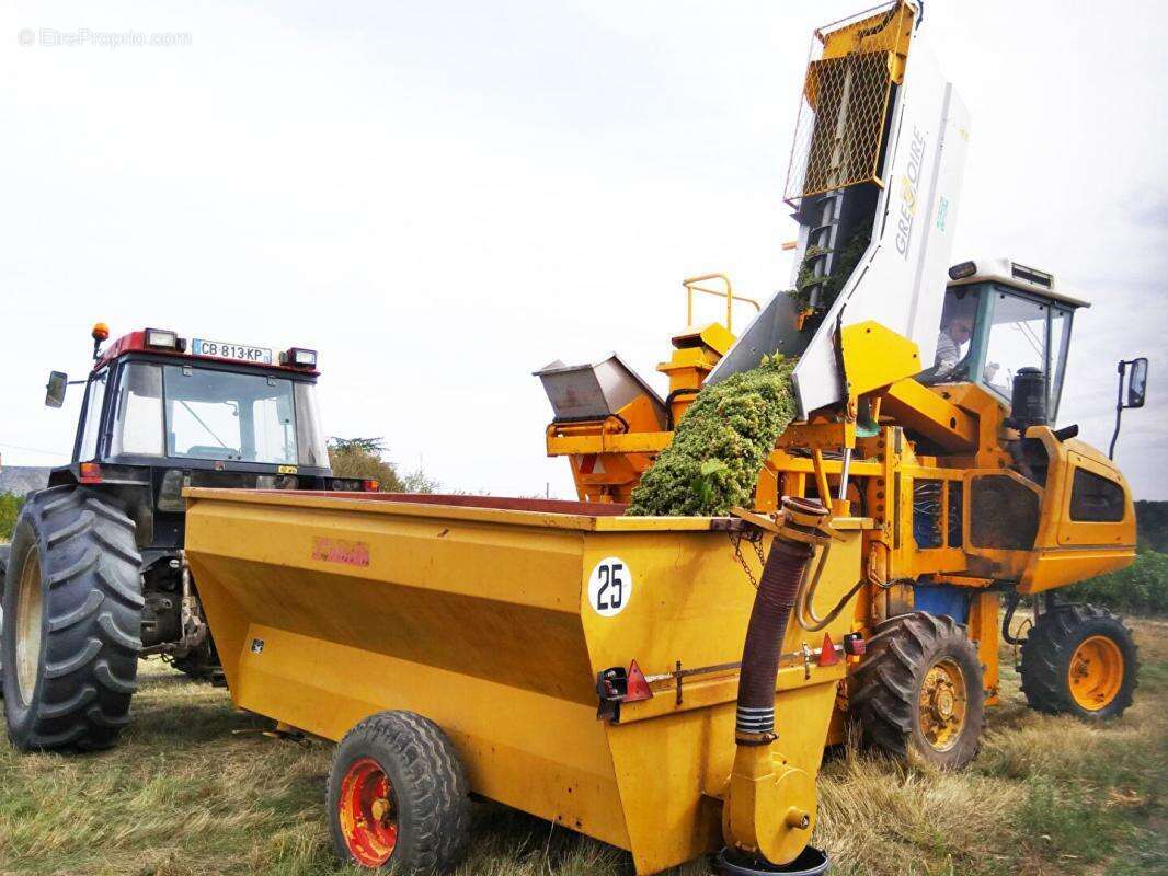 Maison à SAINT-AIGNAN