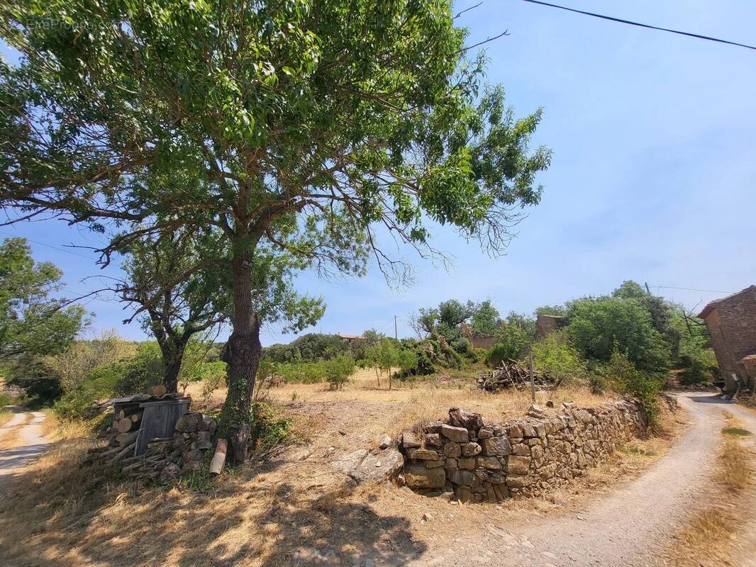 Terrain à BIZE-MINERVOIS