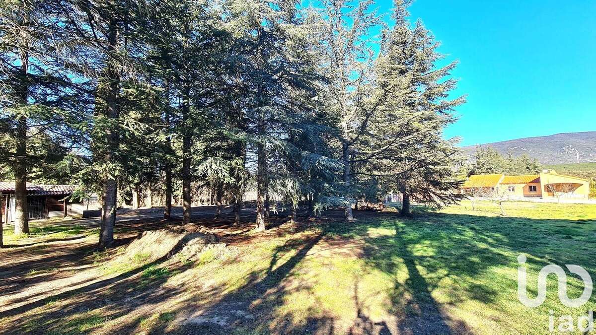 Photo 3 - Maison à CAUDIES-DE-FENOUILLEDES