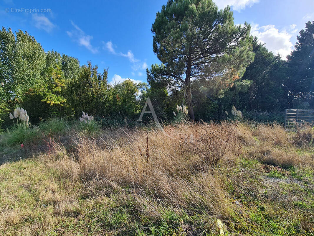 Terrain à CHATELAILLON-PLAGE