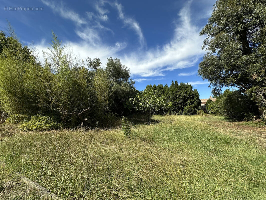 Terrain à SOLLIES-PONT