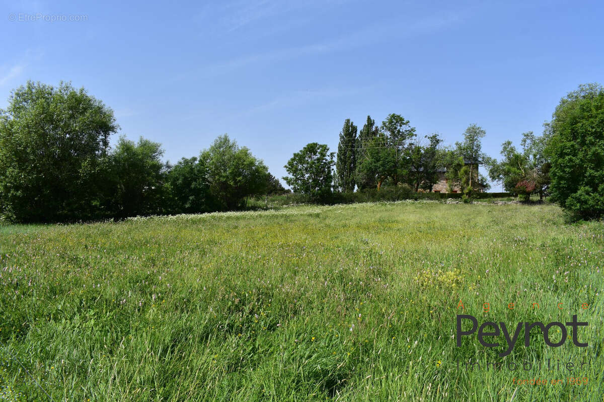 Terrain 3671 m² à Font-Romeu-Odeillo-Via  - photo 5