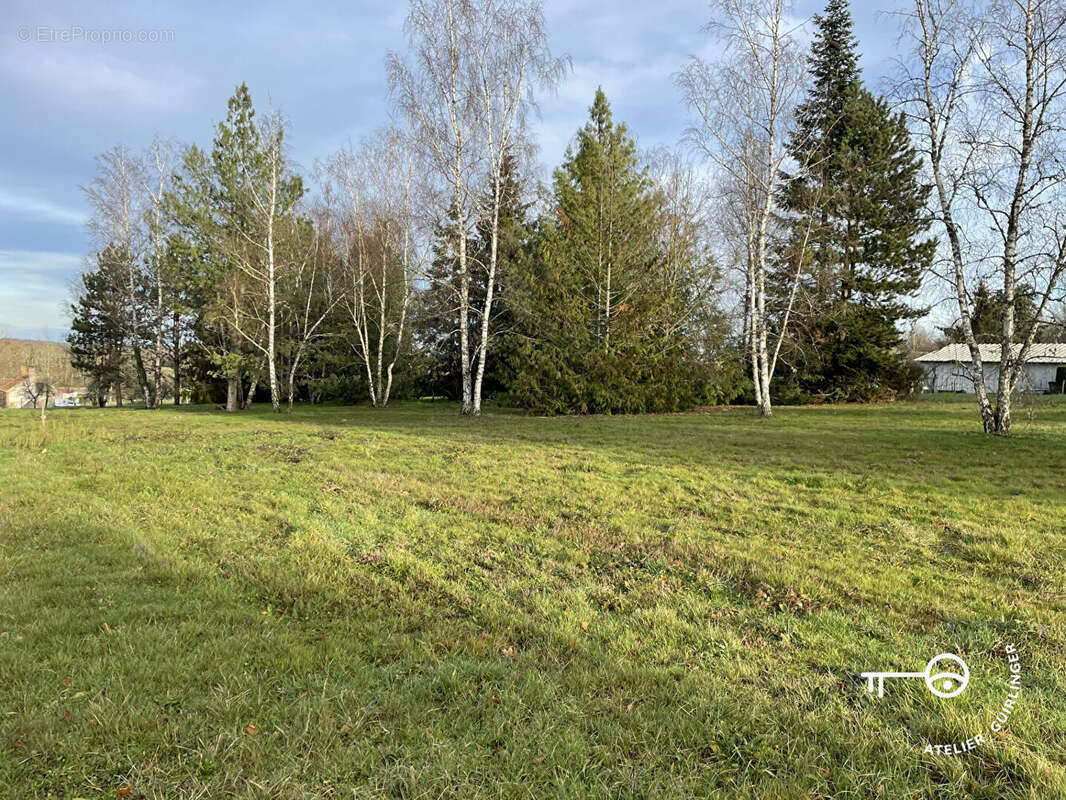 Terrain à MONTRIEUX-EN-SOLOGNE