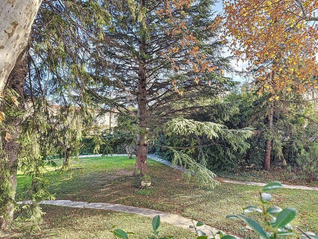 Appartement à AVIGNON