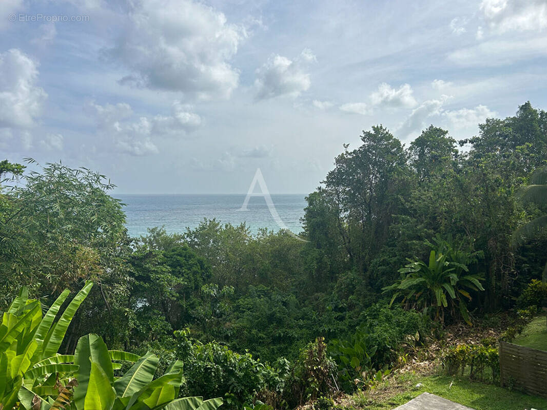 Appartement à SAINTE-MARIE