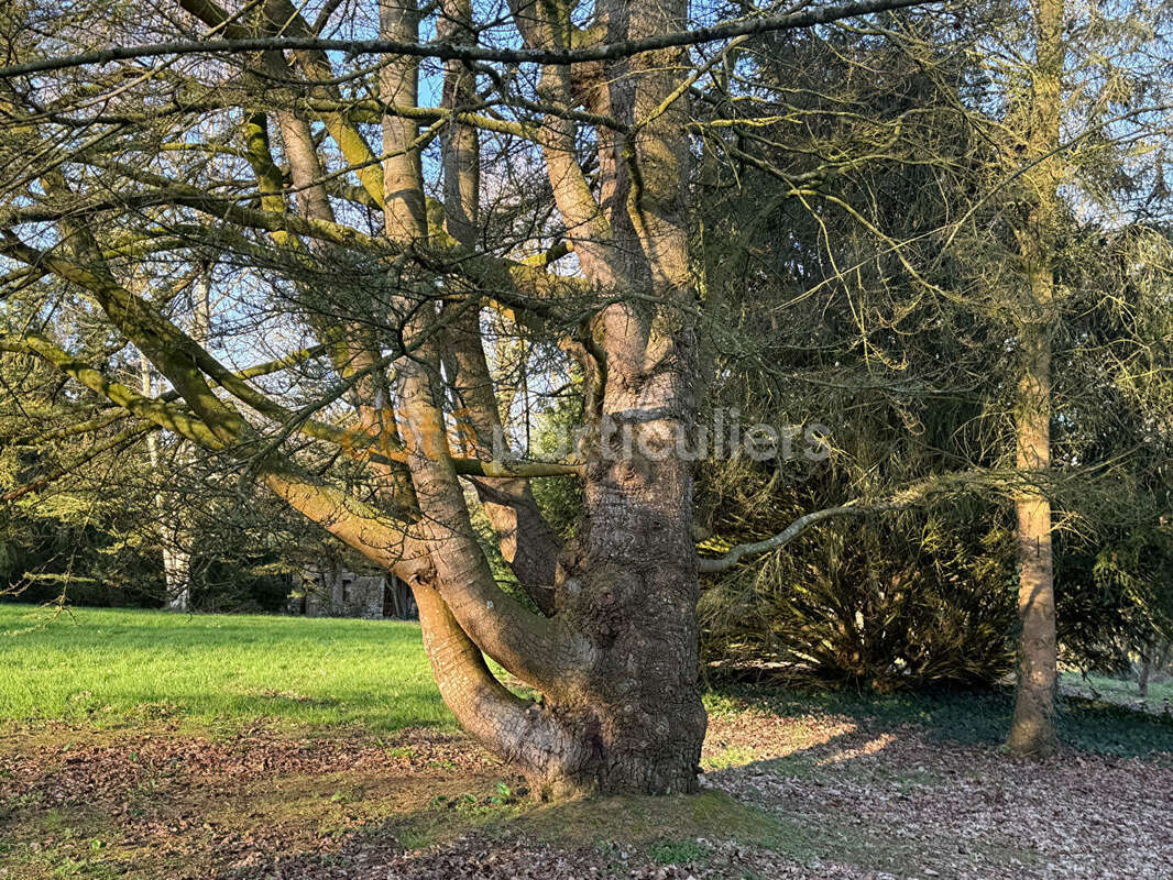 Maison à SAINT-PAIR-SUR-MER