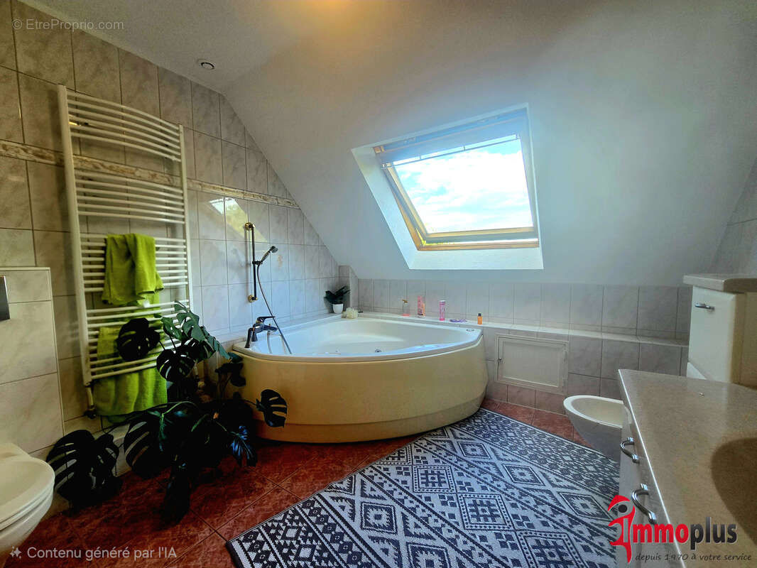 Rumersheim-Le-Haut : maison familiale 4 chambres et 1 studio - photo 21