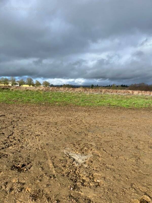 Terrain à CERISE