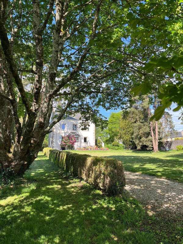 Maison à MORLAIX