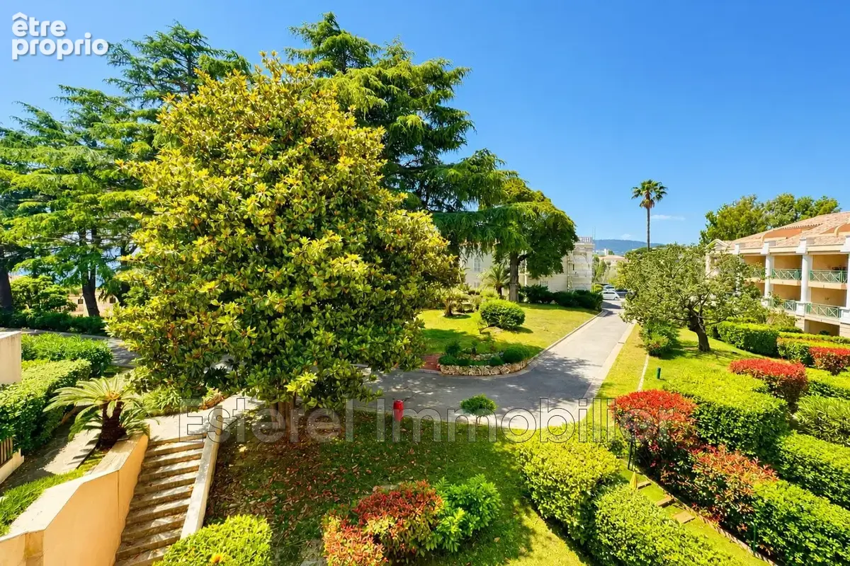 Appartement 3 pièces 36 m² à vendre à Cannes (06400) - photo 3