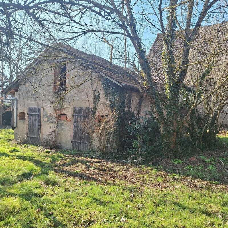 Photo 5 - Maison à MARMAGNE