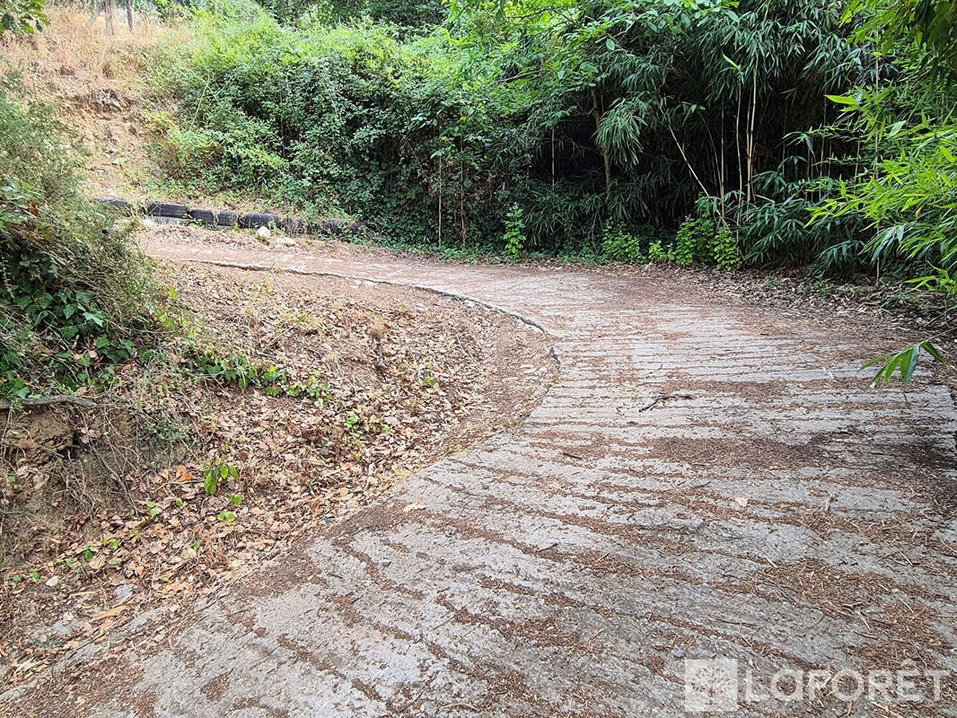 Maison Los Masos sur terrain de 4300m2 - photo 25