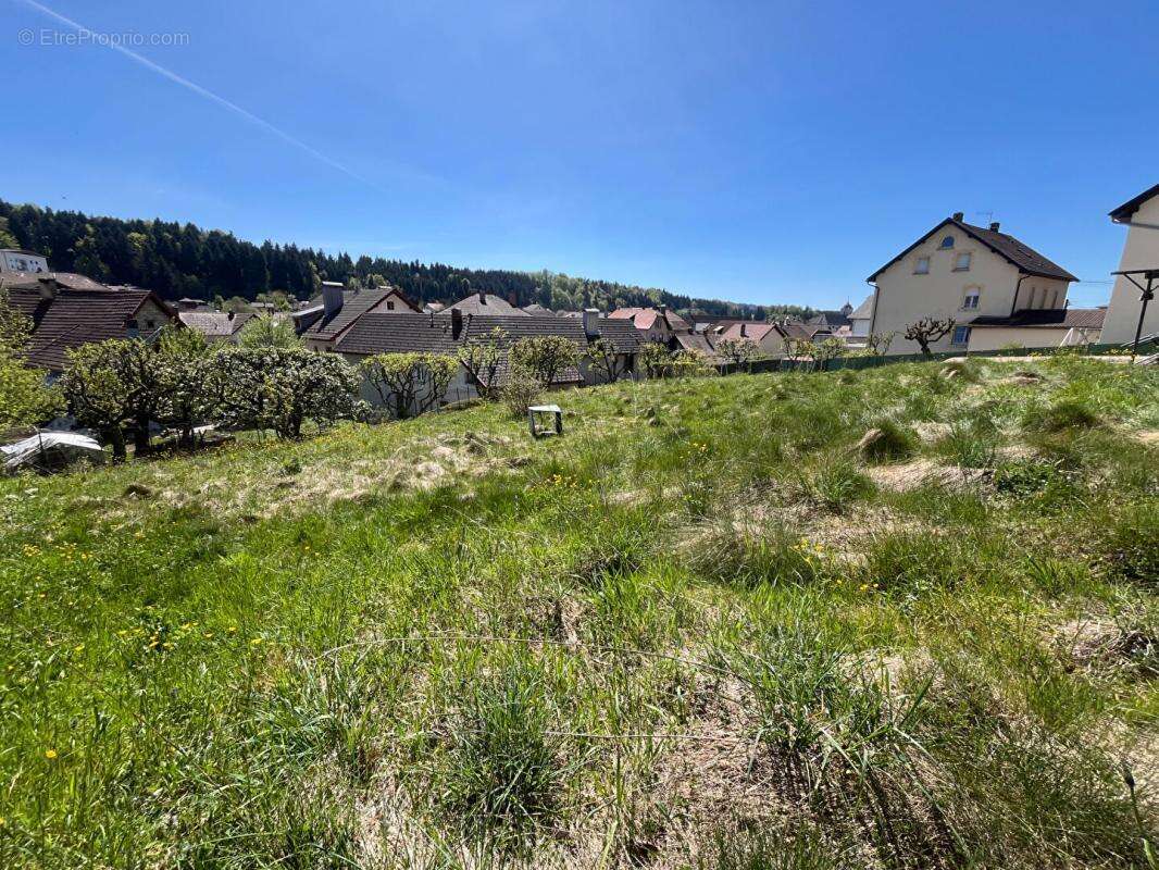 Terrain à MAICHE