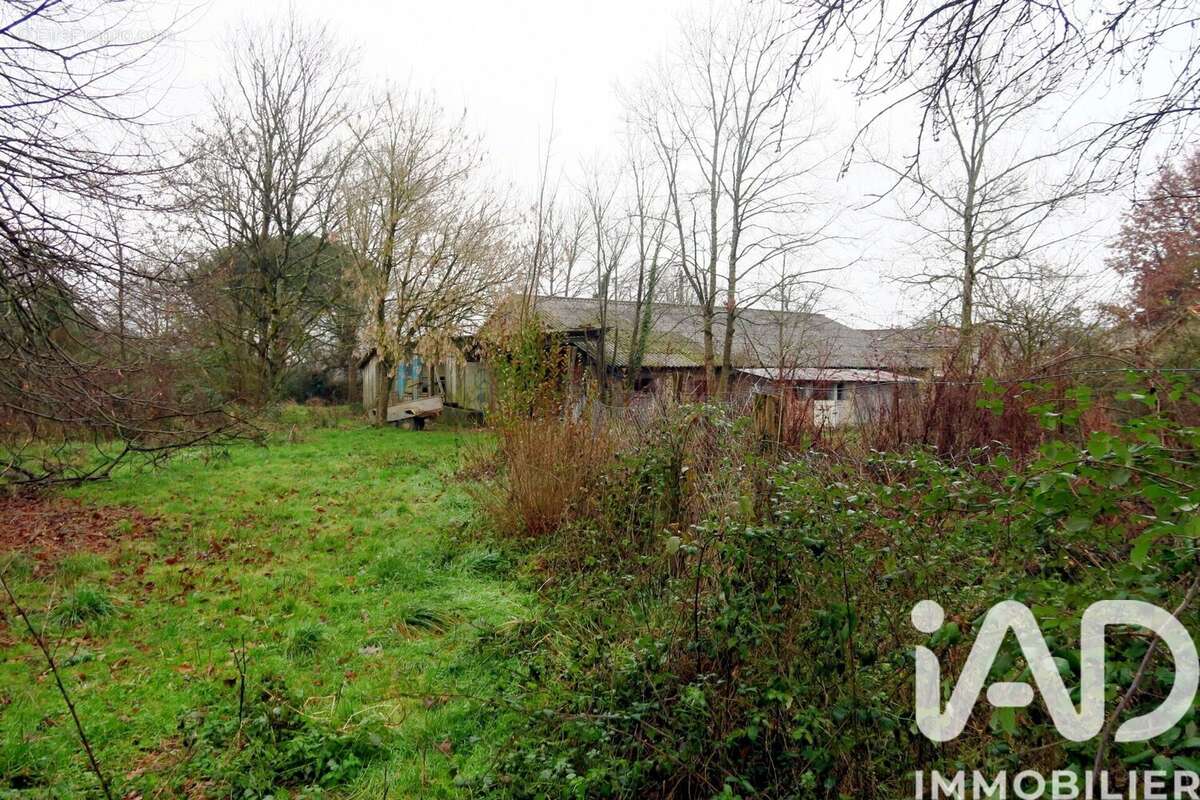 Photo 8 - Terrain à SAINTE-RADEGONDE