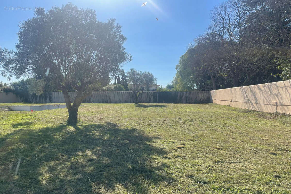 Terrain à LUNEL-VIEL