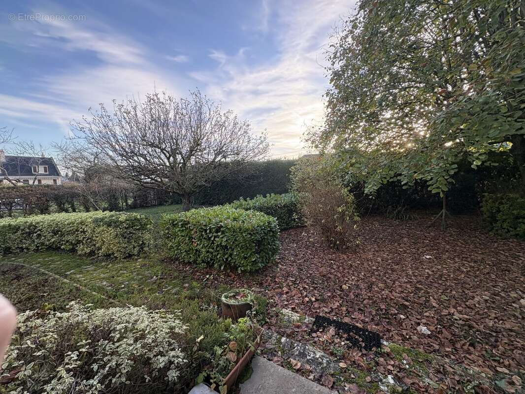 Maison à MONTREUIL-BELLAY