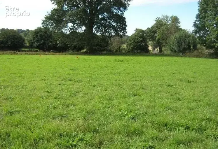 Terrain à SAINT-ANDRE-SUR-ORNE