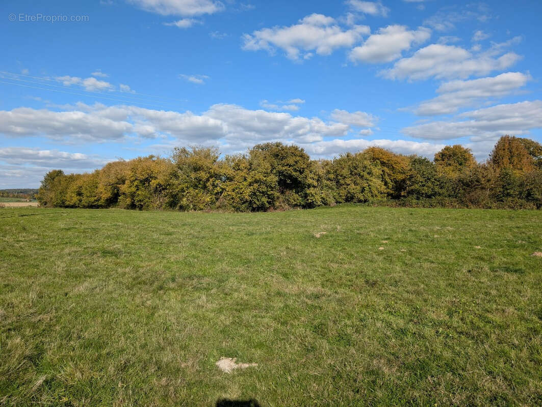 Maison à SAINT-MARD-DE-RENO