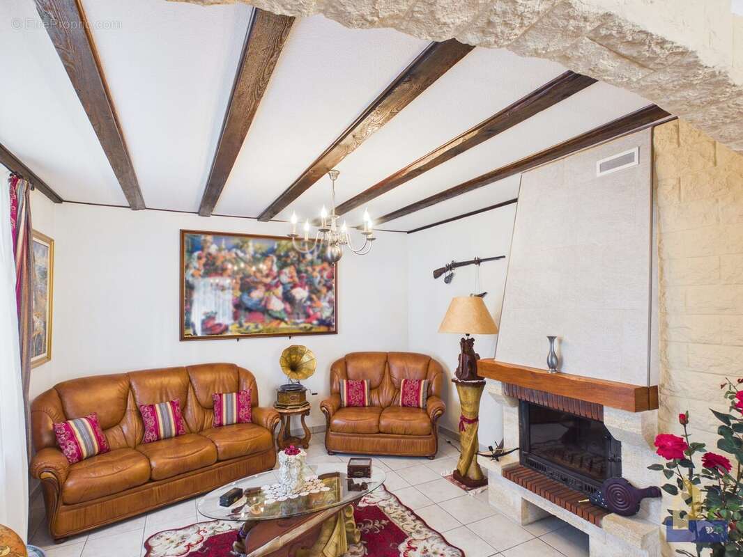 salon avec cheminée - Maison à COLMAR