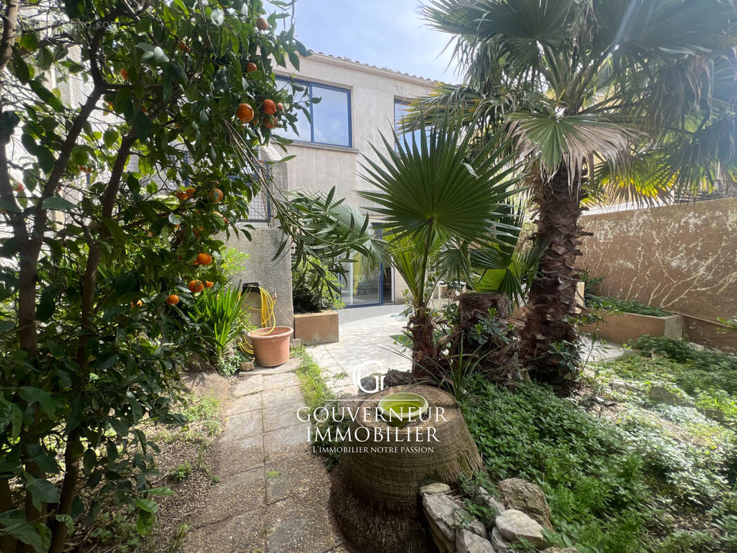 Commerce à CANDILLARGUES