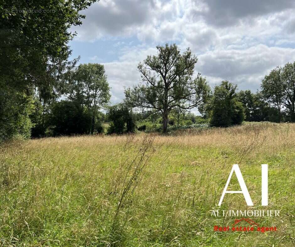 Terrain à LA LANDE-DE-LOUGE