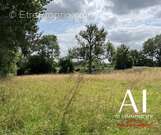 Terrain à LA LANDE-DE-LOUGE