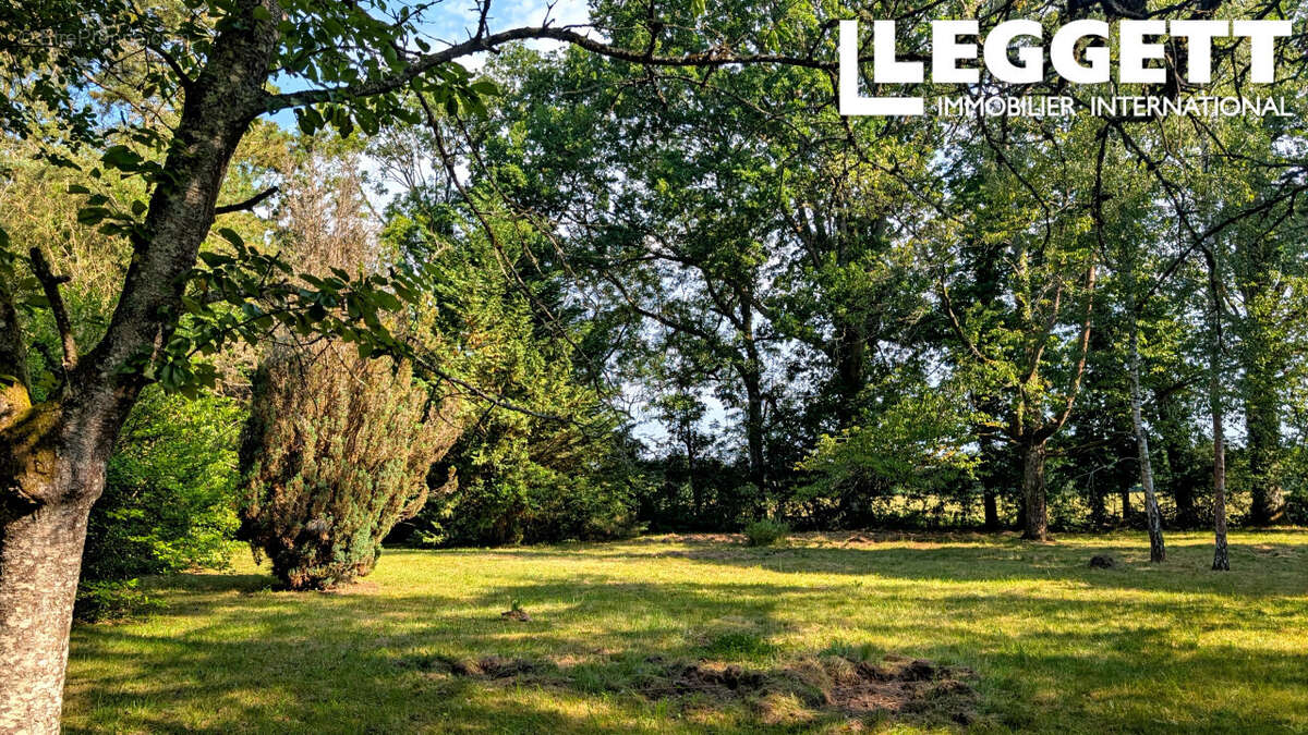 Secteur Longny les Villages, belle maison, en hameau, joli parc arboré. 4/5 chambres, rénovation de qualité - photo 9