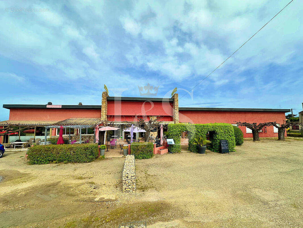 Commerce à SUZE-LA-ROUSSE