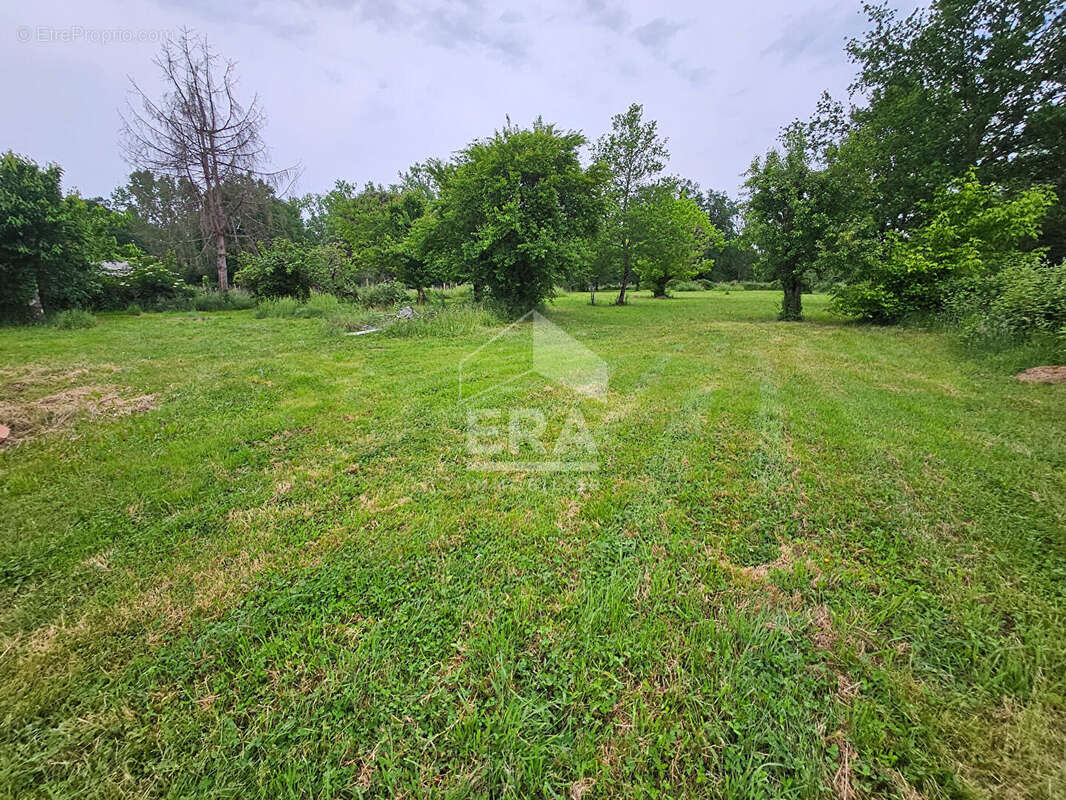 Terrain 3853m² à moulin-neuf - photo 4