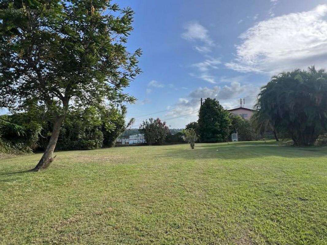 Terrain à LE LAMENTIN